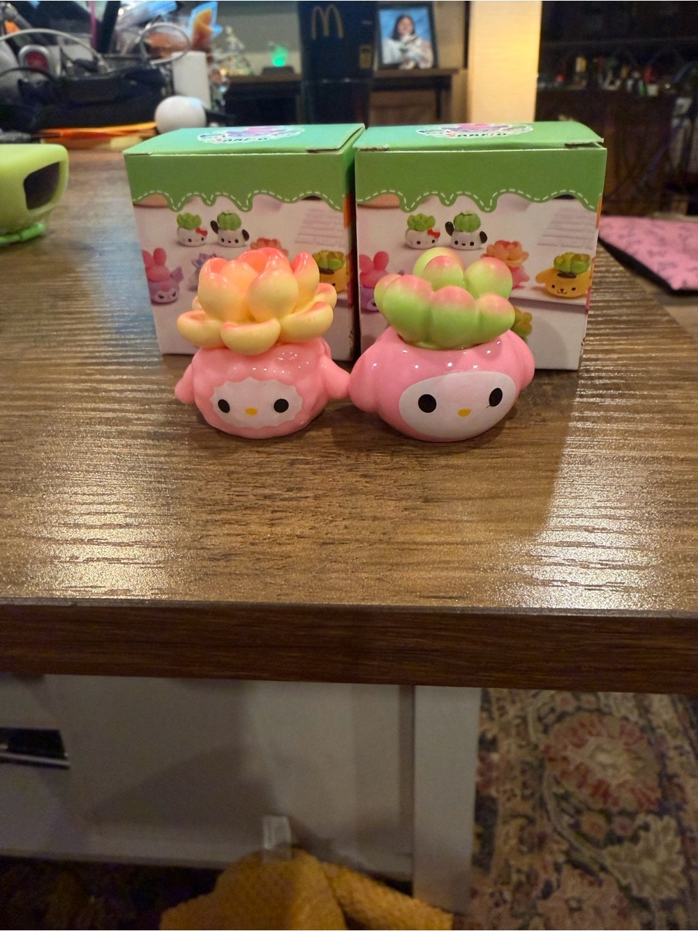 Hello kitty and friends  Succulent figure lot